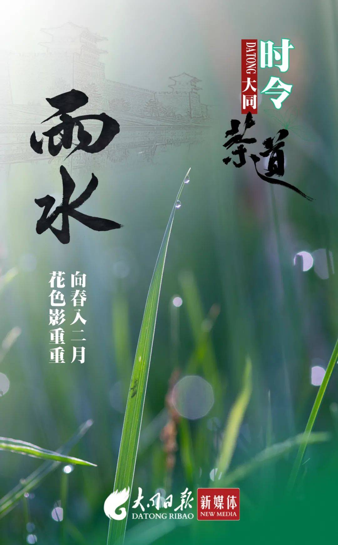 【时令茶道】雨水节气,饮茶的"当家花旦"是它~_大同_花茶_文化