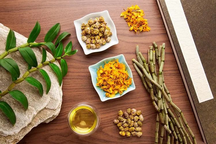 养生_品质_自然环境