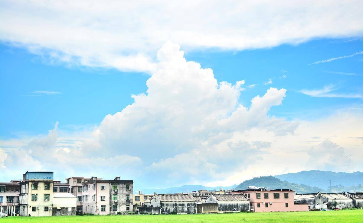 长陇_教育_村子