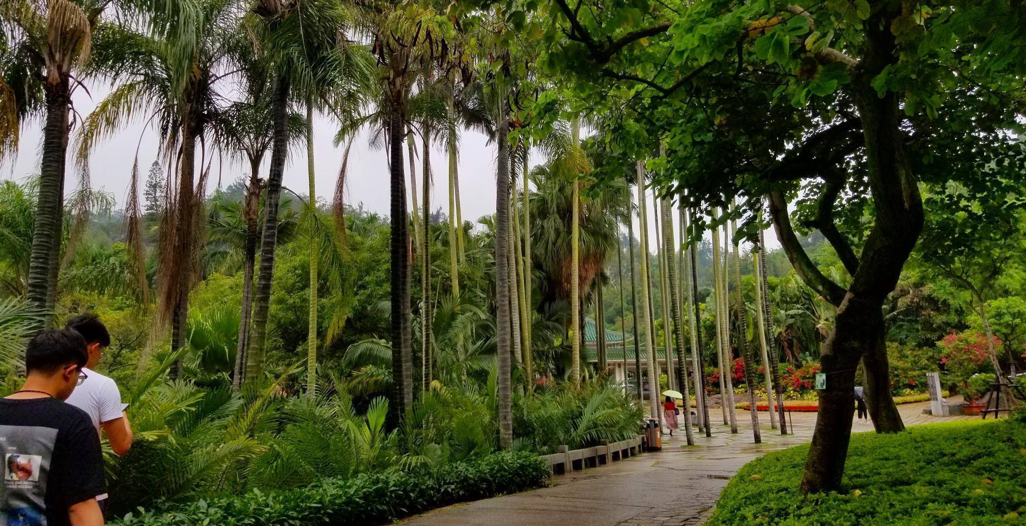 而且更为关键的是,万石植物园平时虽然门票为30元,但是在新年假期的