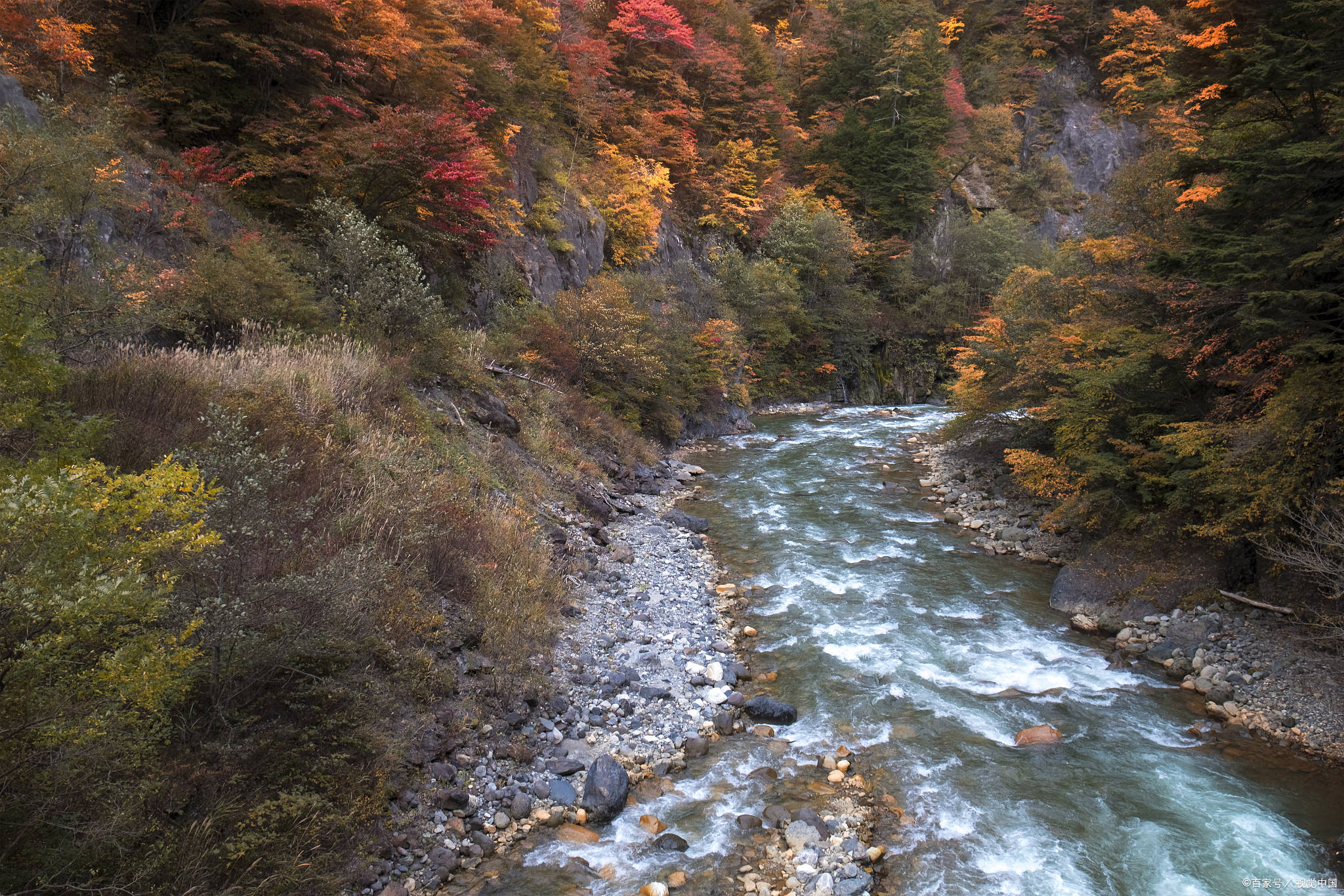 金顶_建议_栈道
