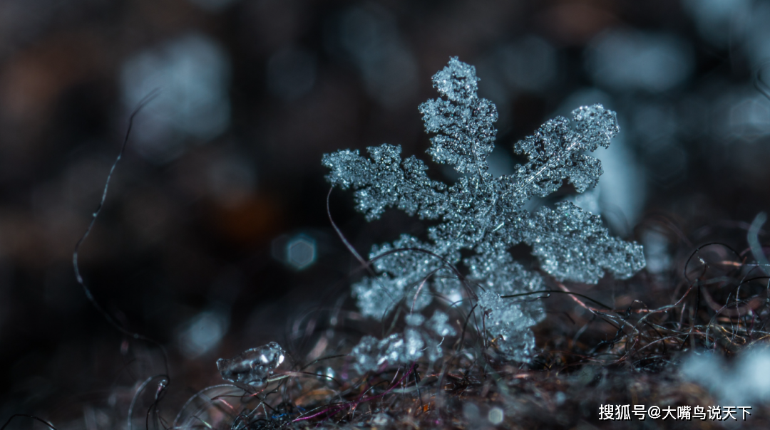 独家揭秘:雪花为何独一无二?科学家揭示真相!