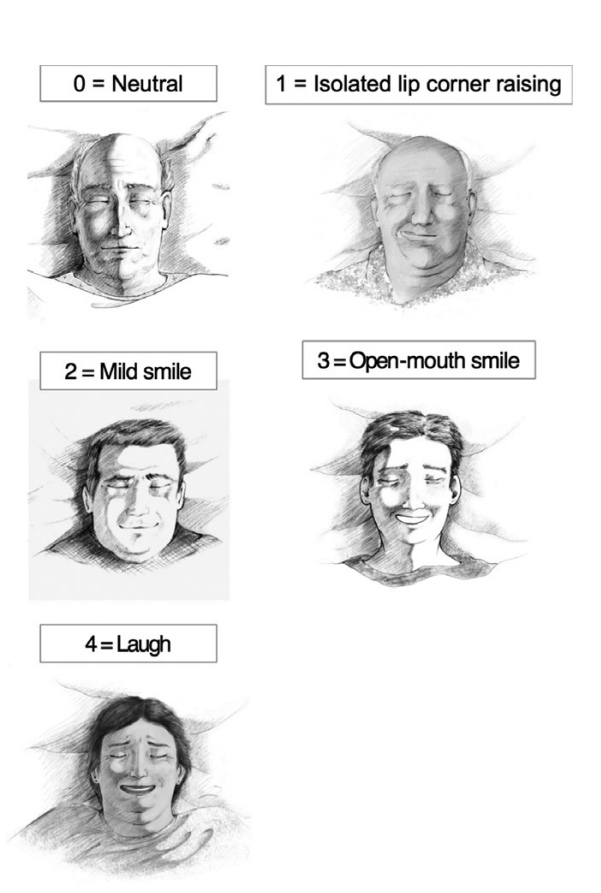 睡着后的表情为什么会这么丑啊!_睡眠_肌肉_阶段