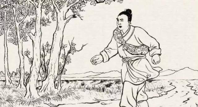 民间故事:憨厚男娶个美娇娘,迷倒全村青年,道士:赶