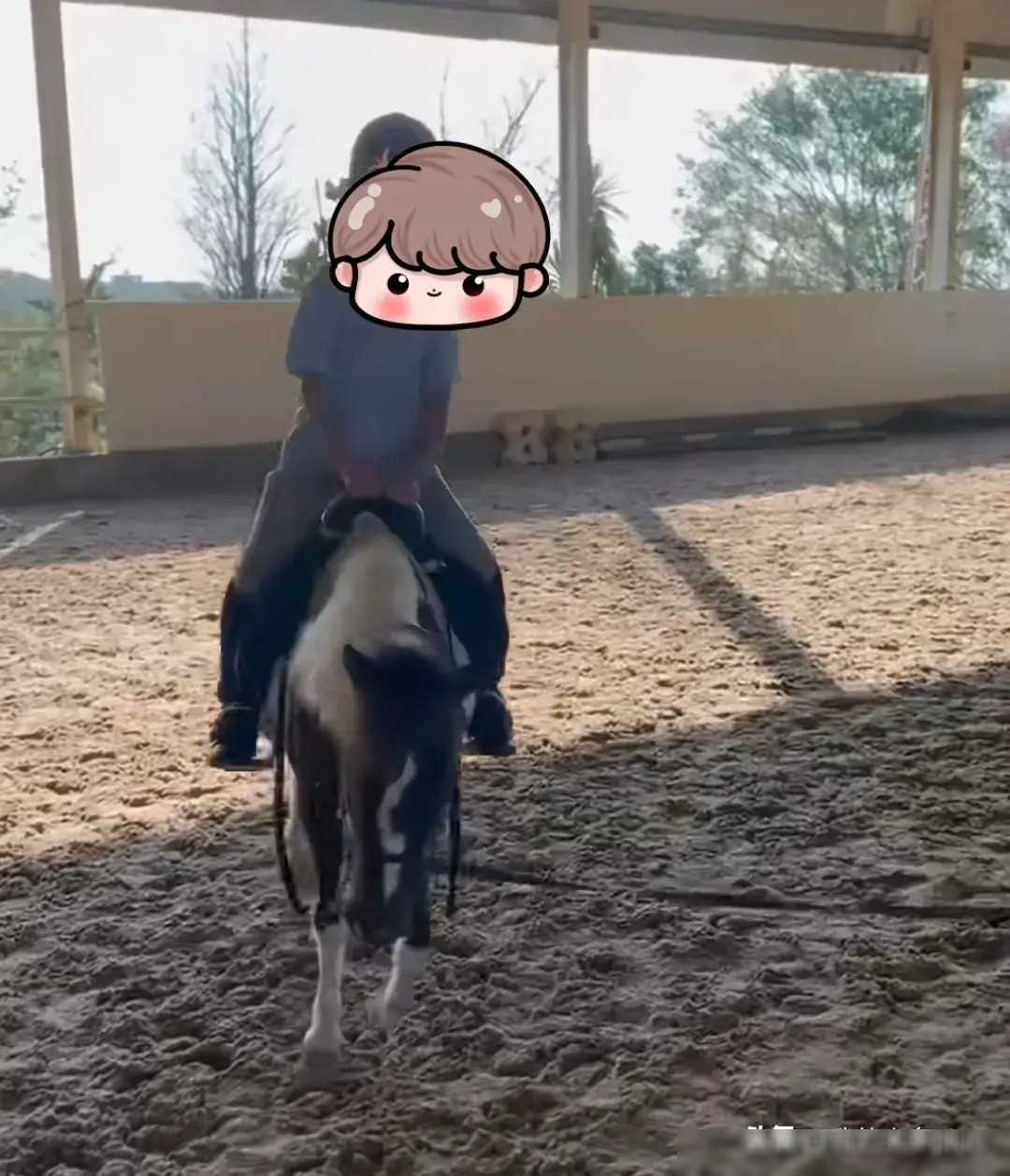 汪小菲带一儿一女学骑马,9岁玥儿t恤又瘦又短不合身,驼背明显_生活