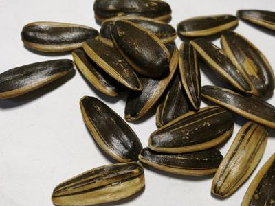 葵花籽的营养成分,吃葵花籽对身体有什么益处?_维生素_脂肪_胆固醇