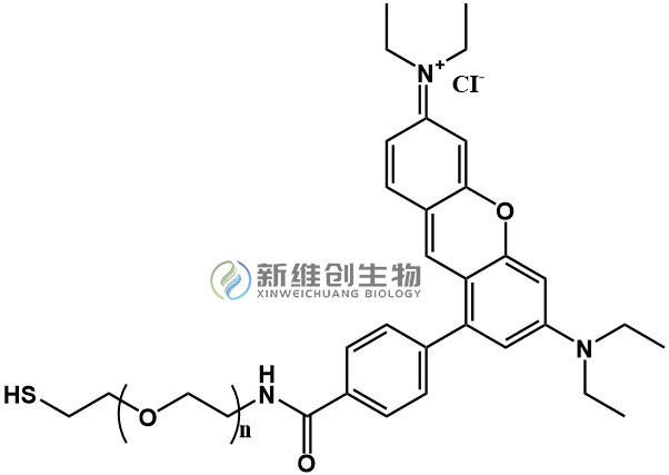 阿霉素荧光图片