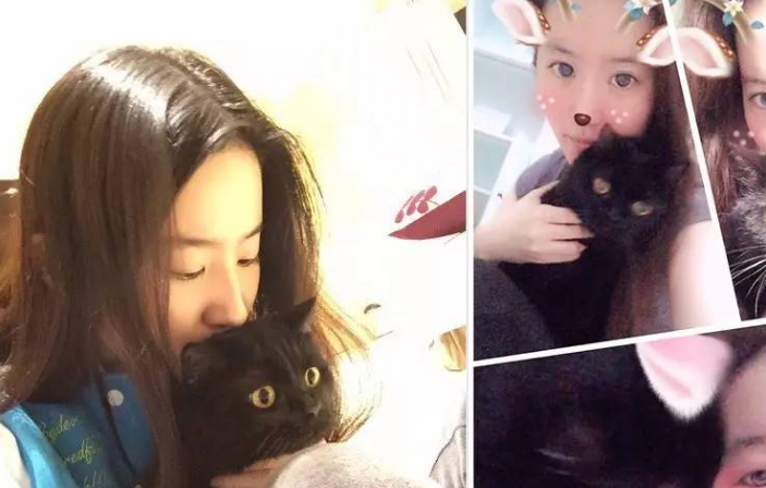 刘亦菲也非常喜欢"吸猫"和"撸猫",经常拍一些与猫的合照发到网上,其中