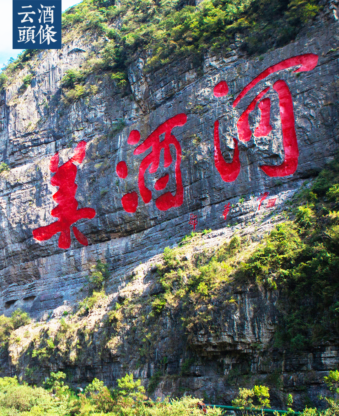 新一届"十大名酒"出炉,看遵义产区的创新突围_贵州_仁怀_企业