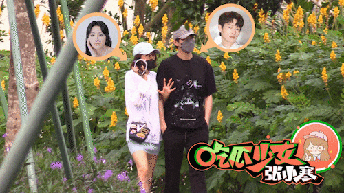 白敬亭_海南_因为