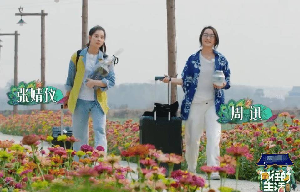 陈坤和周迅的爱将,张婧仪身上的独特清新自然魅力_vivo_宋美龄_影片