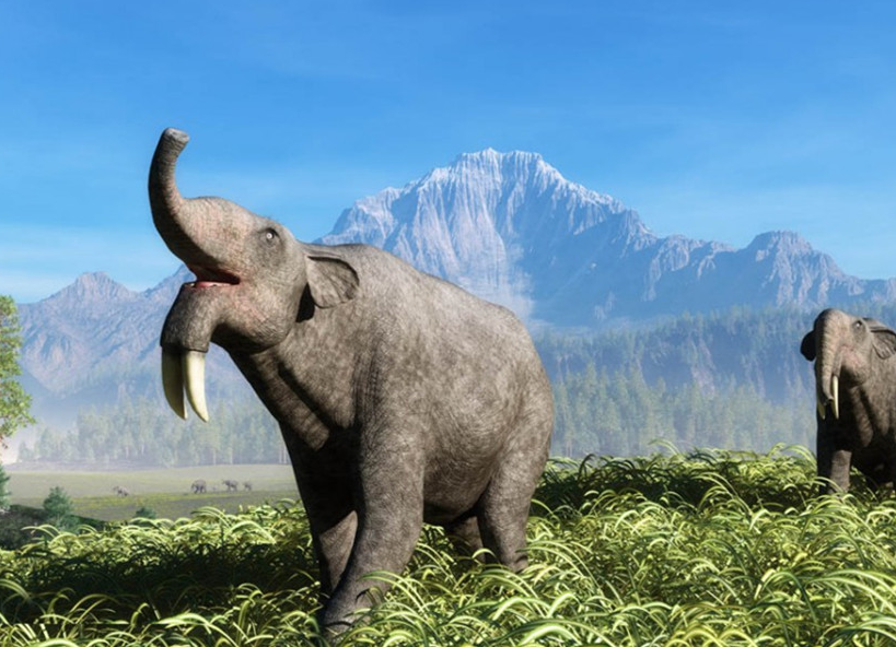 远古巨象,象牙具有唯一性,"神秘动物学之父"认为它依然存在_进化_体重