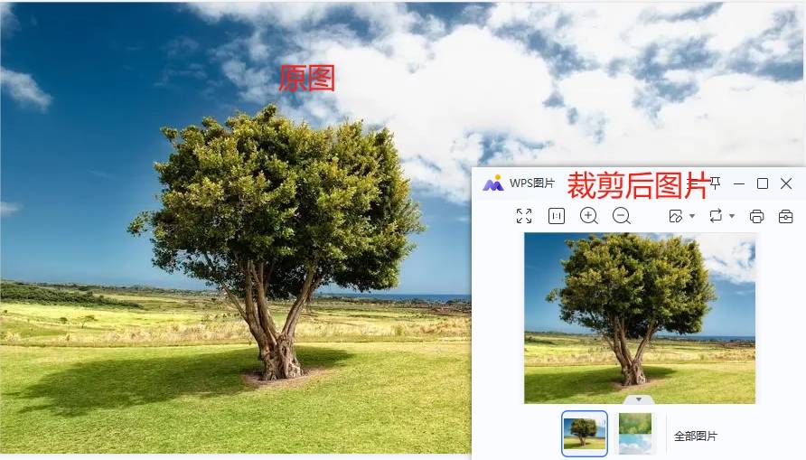 电脑如何裁剪图片?四种简单的裁剪方法带给大家!_步骤_进行_软件
