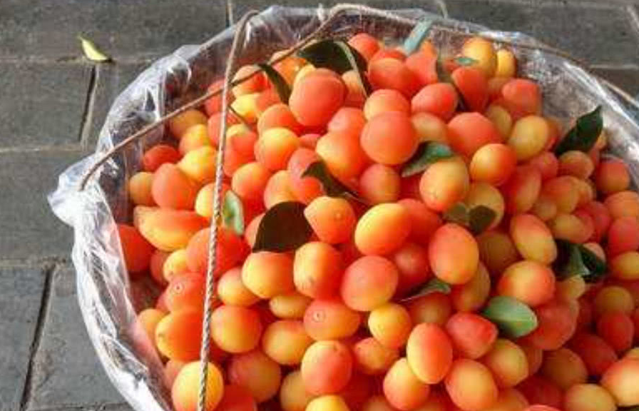 重庆街头售卖的水果,虽然颜色好看,但是吃起来就是糖渍的_金西梅_旅游