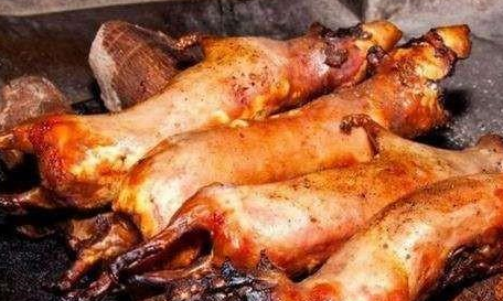 兔子肉吃了有什么功效和作用?_食用_朋友_老人