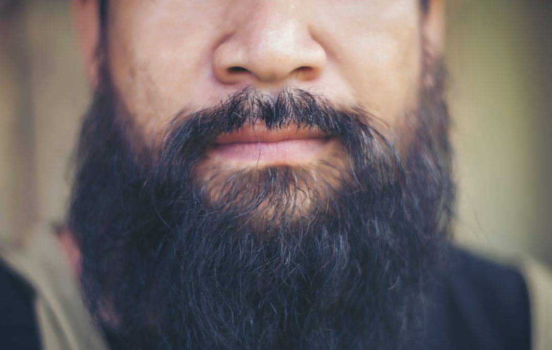 腹部那些又粗又黑的毛毛是怎么来的?_肚子_毛囊_毛发