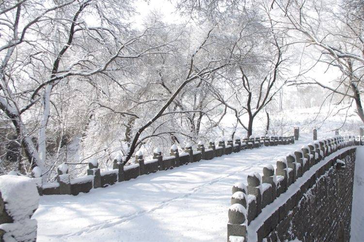 牡丹江宁安市补充招聘劳动保障协理员30人公告_人员_工作_进行