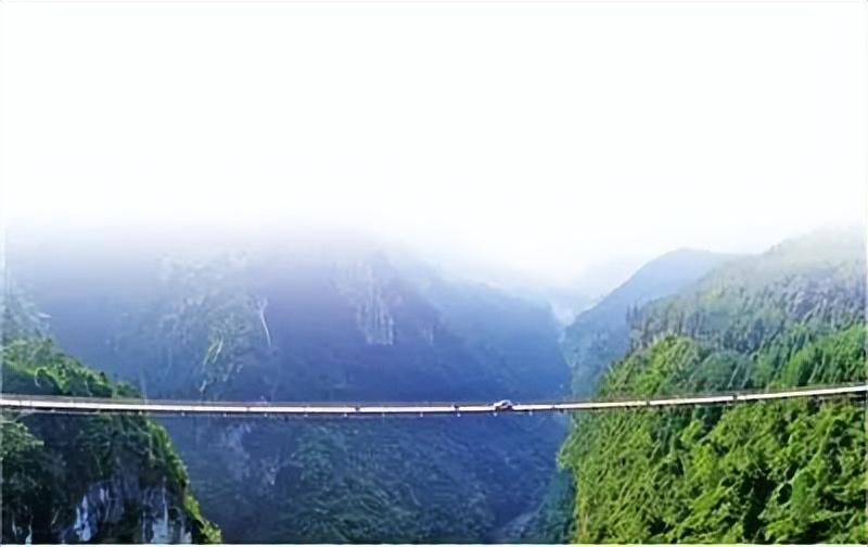 武隆长坝镇大元村通过建强党支部壮大集体经济推进乡村大振兴_发展