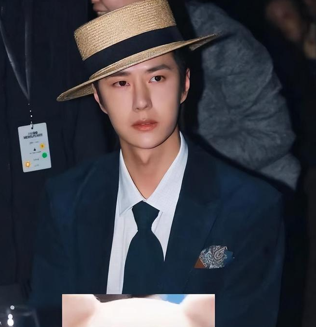 评论区开始猜测该95后顶流男星的身份,而由于王一博近期低调,且戴帽子