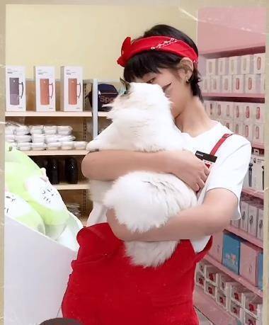 张子枫近照再现"初恋脸",抱布偶猫宠溺十足,穿白t恤 毛呢裙好甜_互动