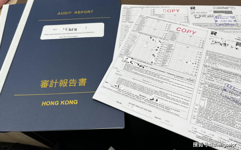 香港公司合规经营关键—"审计报税" 审计报告_进行_政府_利润