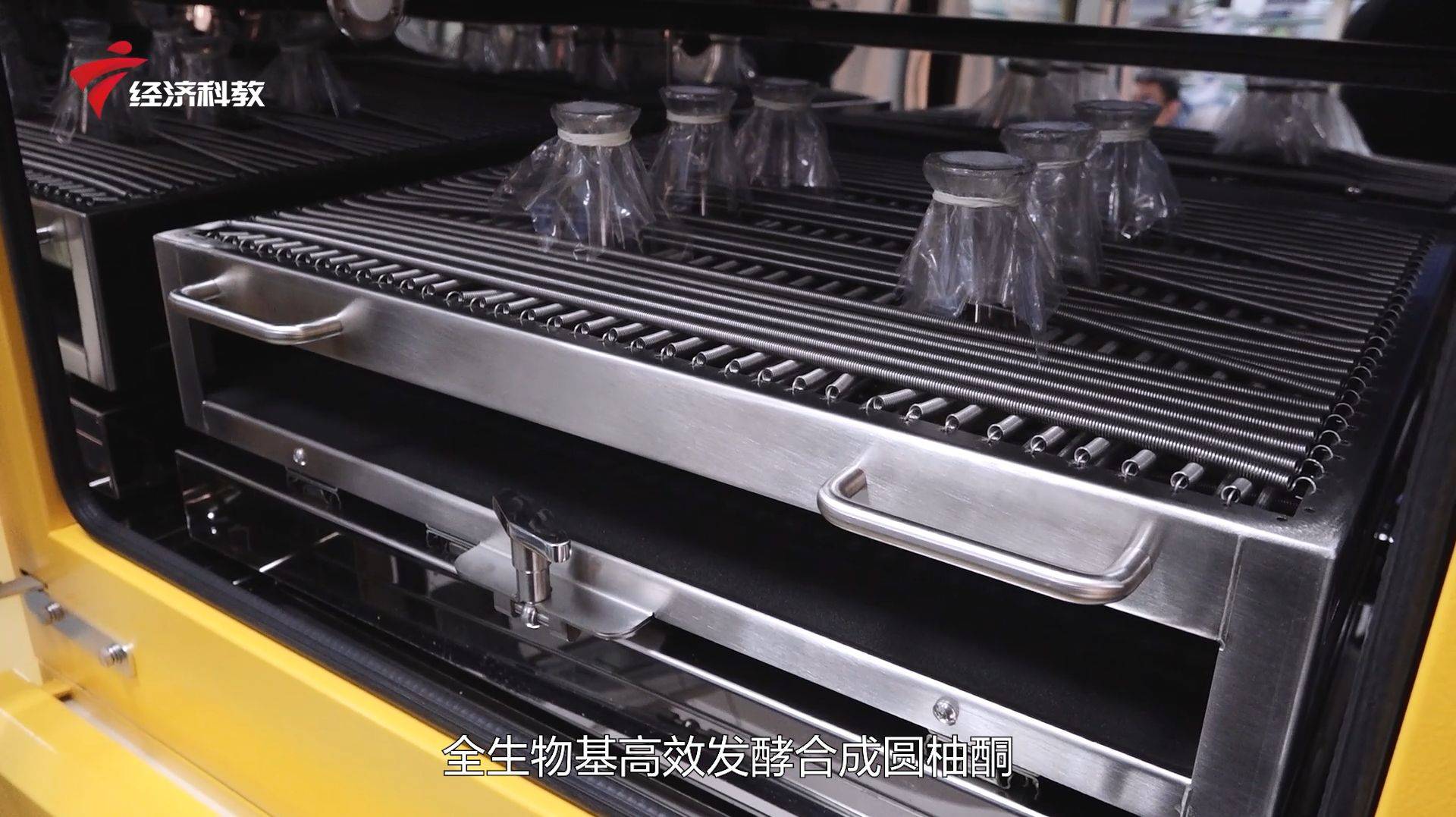 通过对啤酒酵母进行基因改造,让它可以吃进玉米糖,最终生产我们的化合