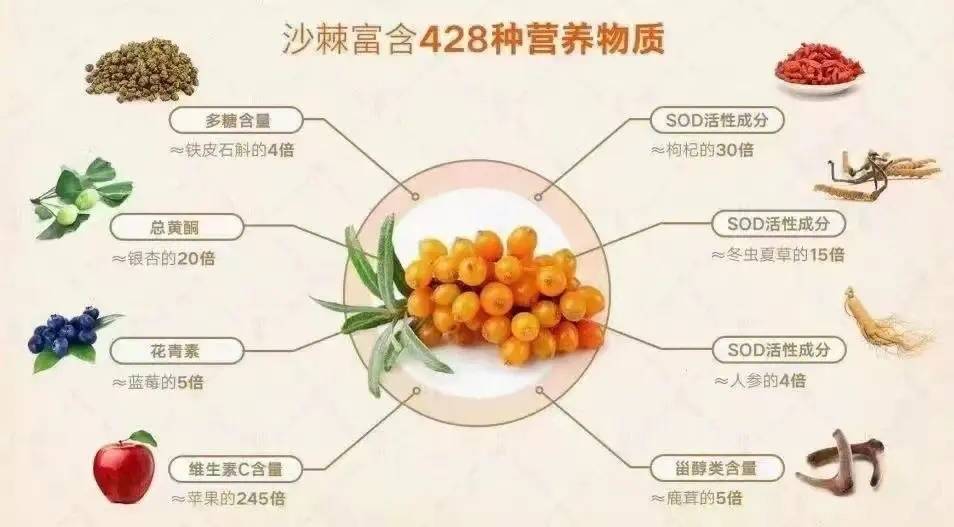 沙棘原浆自古以来就以其卓越的保健功效而被人们推崇.