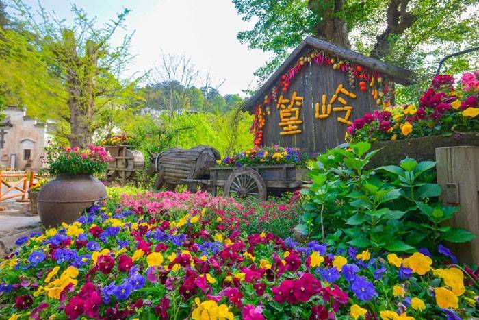 三清山旅游几月份最好,三清山什么季节去好看_江西_大自然_南昌