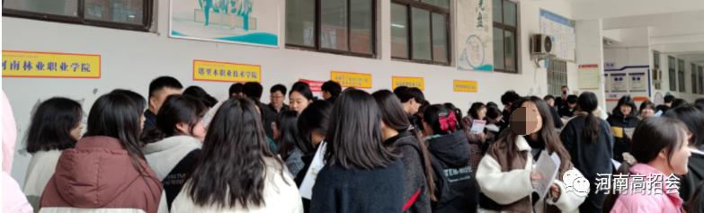 cn新蔡二高淮滨二高河南教育招生考试网(简称:河南招考网)