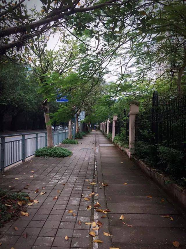 罗湖区莲塘街道长岭村旧改项目_深圳_片区_建设