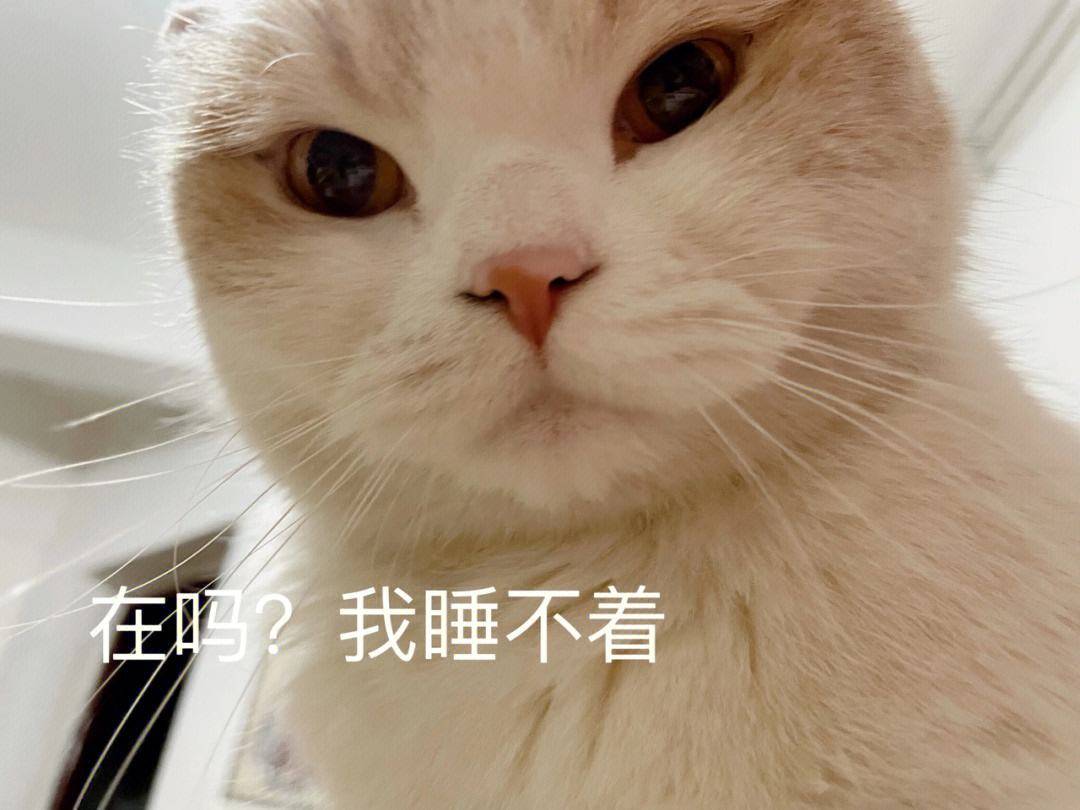 笑话十条:爸,你认错人了,我不是你女儿!