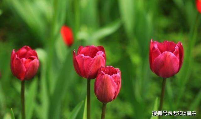 二月份财运事业一发不可收拾,四生肖走上发财之路_关系_星座_一个人