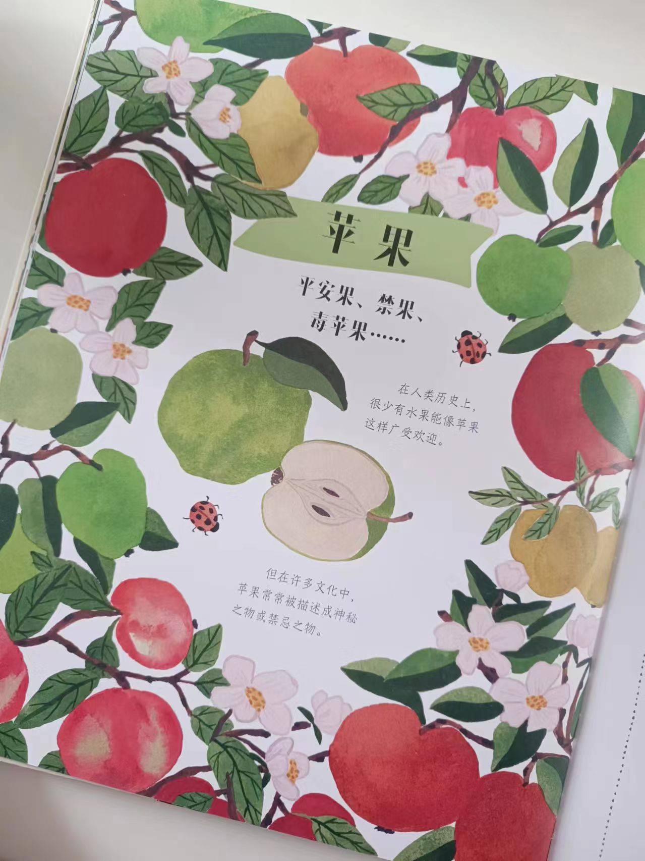 治愈系植物图谱,在万物生长中感受生命力量_种植_胡萝卜_苹果