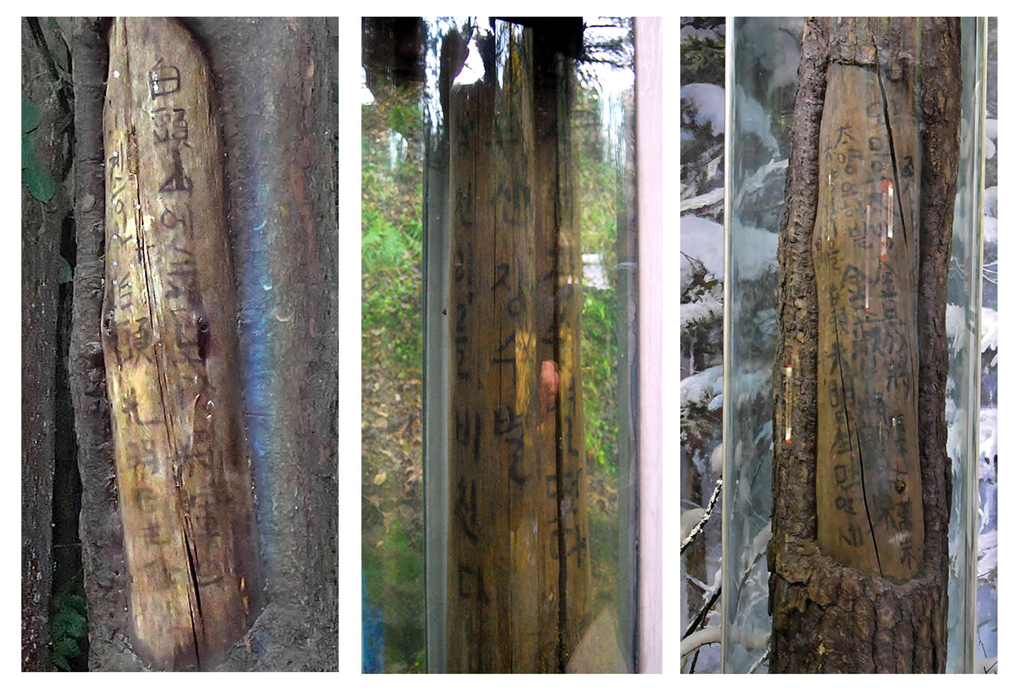 朝鲜的光明星节