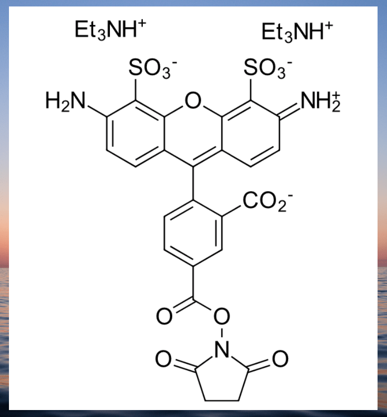 亚胺结构式图片