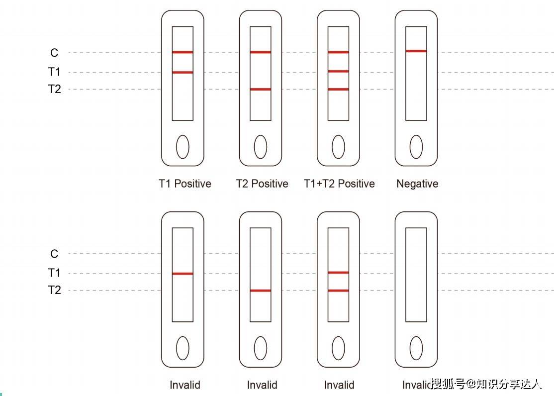 甲型/乙型流感病毒(flua/flub)抗原检测试剂盒_样本_裂解_结果