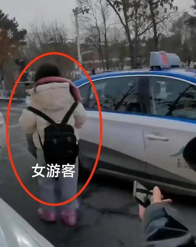 长白山出租车拦截网约车后续:女孩赶上高铁,官方通报处罚网约车_网友