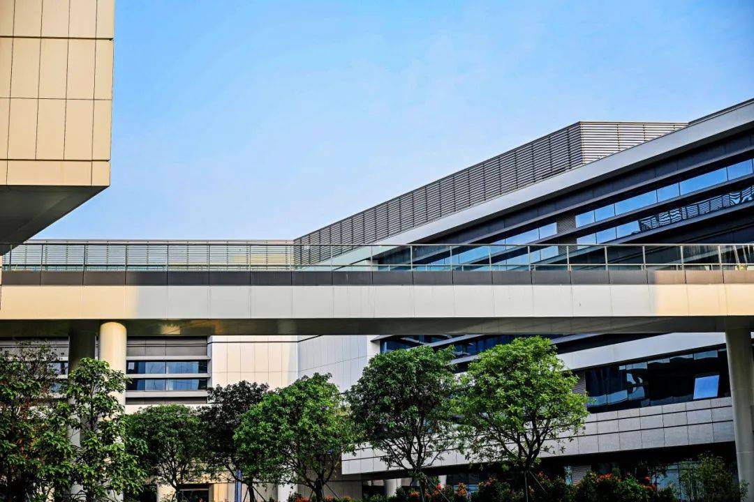 香港城市大学东莞校区正式启用!毕业生可留港工作_教学_校园_工程
