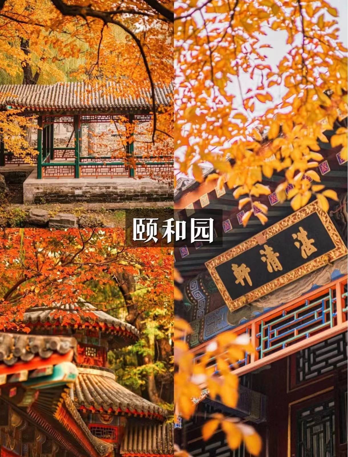 (现在基本上都要提前一星期预约),可以提前找小熙预定哈!