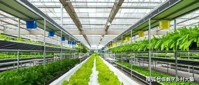 全球智慧农业的十大趋势_的发展_智能化_设备