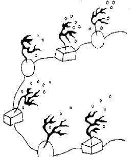 除此之外,还有水雷,叫"水底雷".