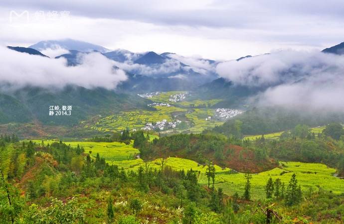 婺源旅行社联系电话婺源当地导游推荐_景点_李坑_油菜花