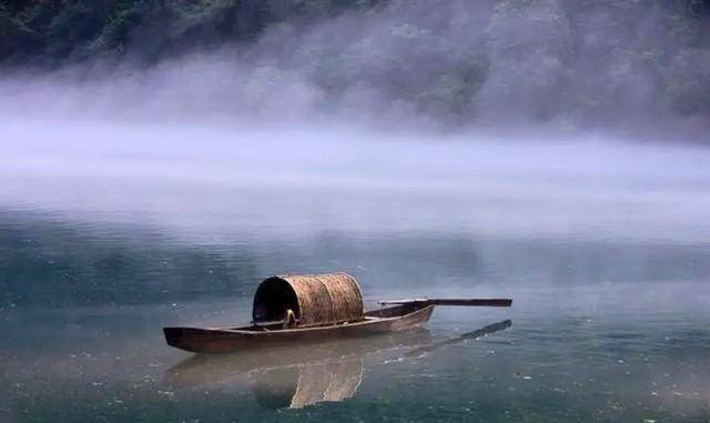 翠菊_何亚胜_工作