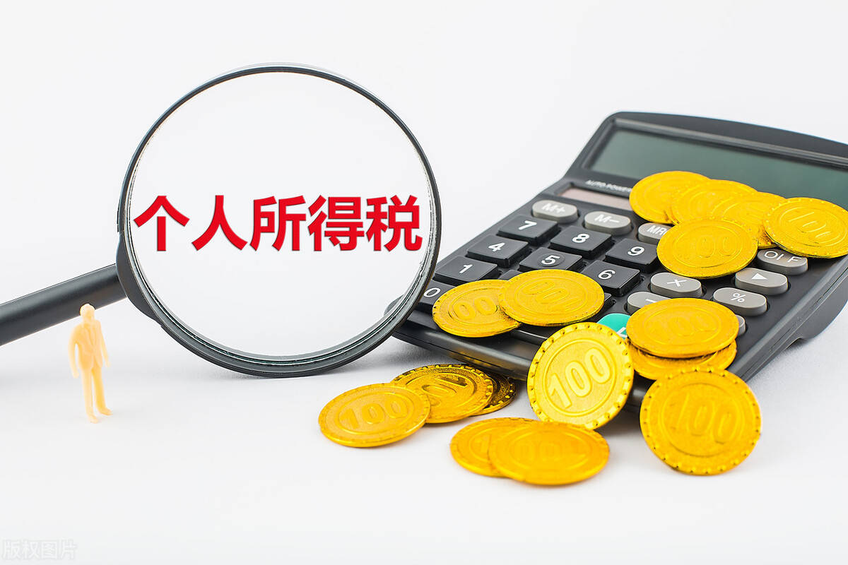 企业_增值税_个人所得税