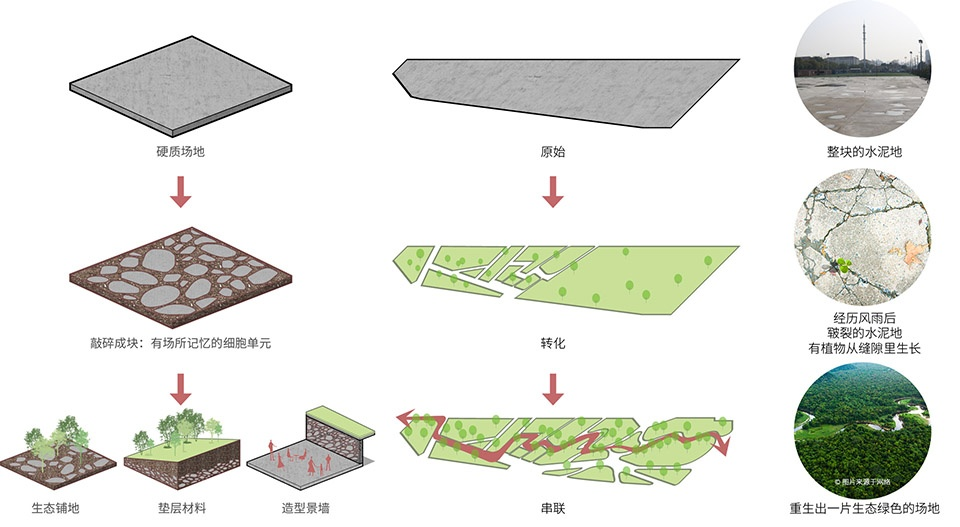 景观地面铺装分析图片