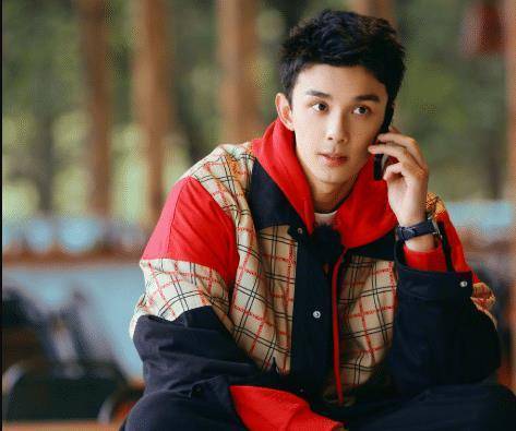 明星上网课:王俊凯只露衣袖,吴磊衬衫领带,不像学生倒像霸道总裁_视频