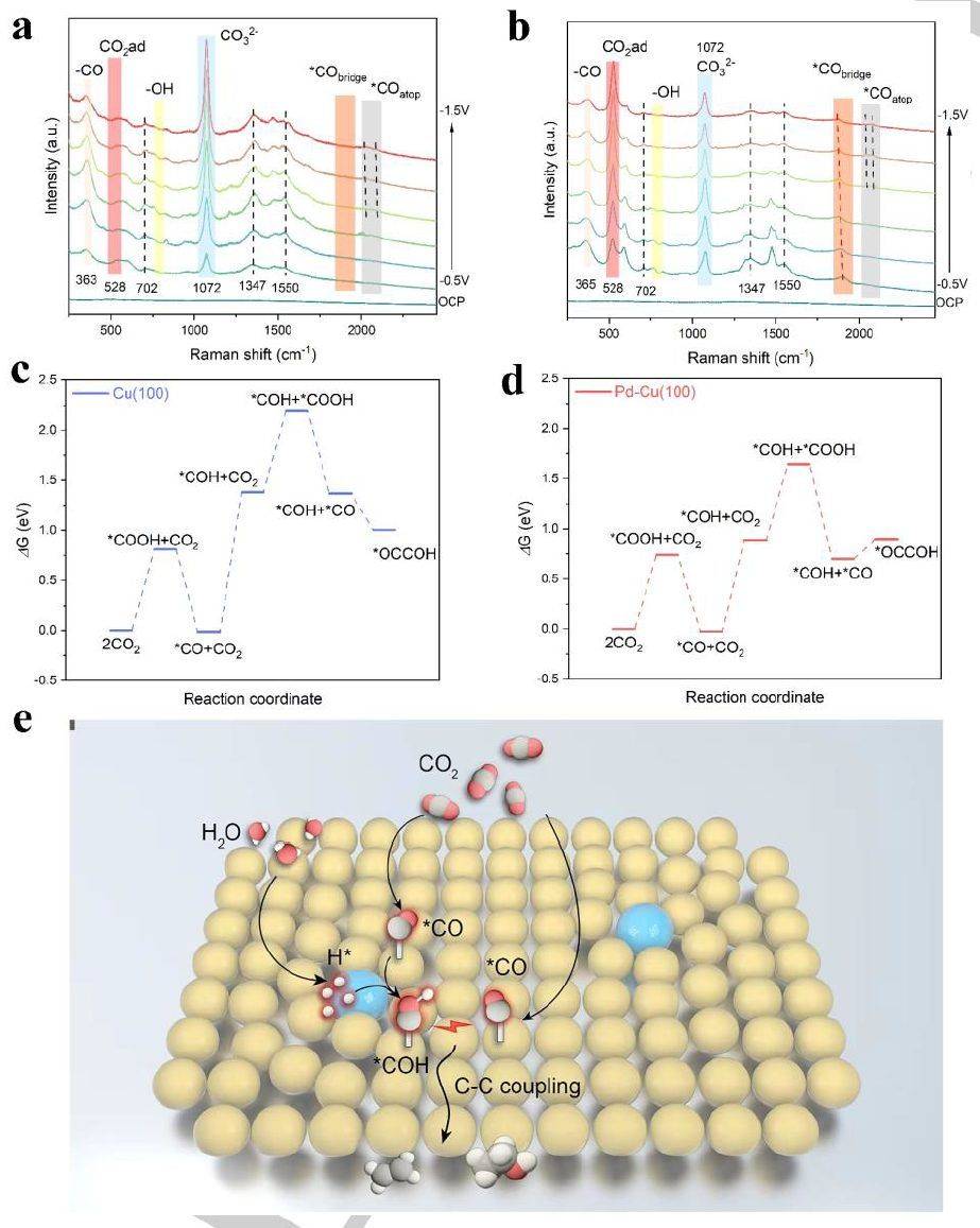 angew:多位点催化接力,co2还原再创记录_pd-cu_产物_含量
