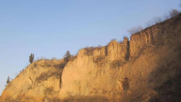 1963年,陕西老农挖出"铜牛",主动上缴国家,今成镇