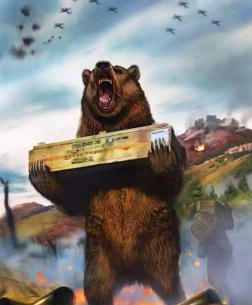 战斗熊,在前线镇定自若背炸弹,还有军衔和工资卡_wojtek_波兰军队