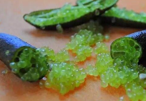 名字_哈拉_红香蕉